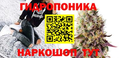 наркотики Кингисепп