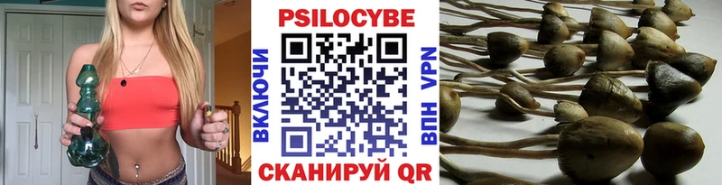 цены наркотик  Комсомольск-на-Амуре  Псилоцибиновые грибы прущие грибы 